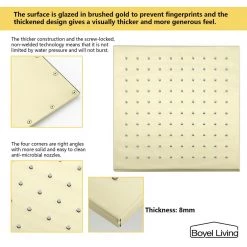 Boyel Living 1-Spray Patterns with 2.66 GPM 10 in. Wall Mount Dual Shower Heads with Rough-In Valve Body and Trim in Brushed Gold -Bathroom Faucets Store brushed gold boyel living dual shower heads smd 88001bg 1f 1000