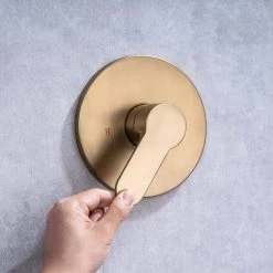 Rainlex Single-Handle 1-Spray Round High Pressure Shower Faucet with 10 in. Shower Head in Brushed Gold (Valve Included) -Bathroom Faucets Store brushed gold rainlex shower faucets w96201lsj 10 1f 1000