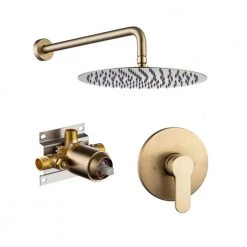 Rainlex Single-Handle 1-Spray Round High Pressure Shower Faucet with 10 in. Shower Head in Brushed Gold (Valve Included)