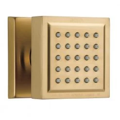 Delta Body Spray with H2Okinetic Technology in Champagne Bronze