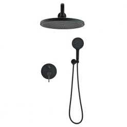 PROOX 2-Handle 3-Spray Round High Pressure Shower Faucet with 10 in. Rain Shower Head in Matte Black (Valve Included)
