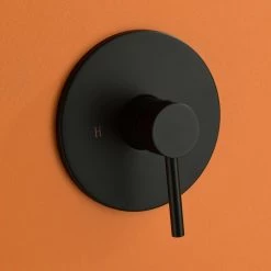 WELLFOR Single-Handle 1-Spray Shower Faucet with 8 in. Fixed Shower Head in Matte Black (Valve Included) -Bathroom Faucets Store matte black shower faucets wk0726 1f 1000